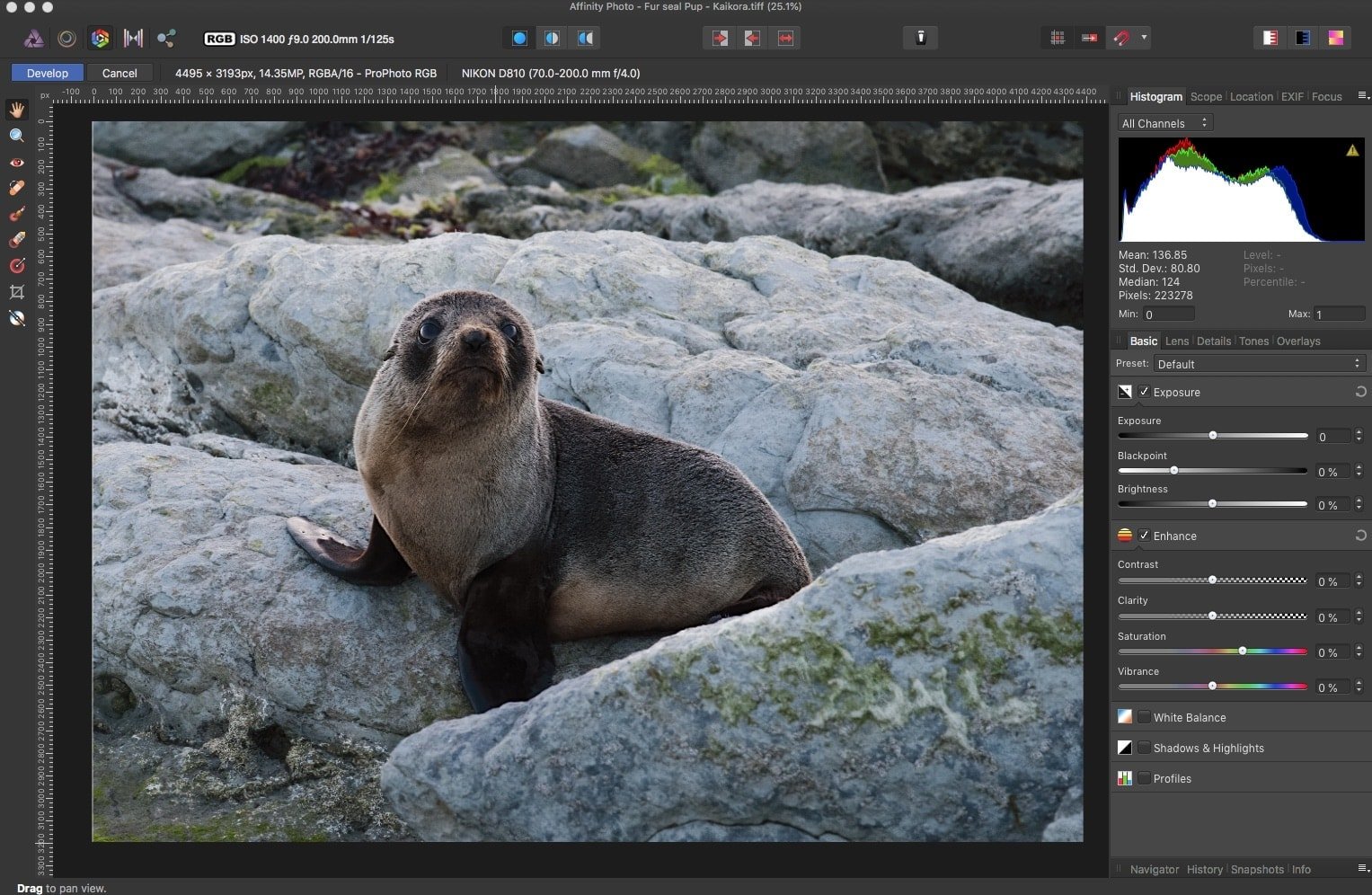 Aplikasi Pengganti Adobe Photoshop