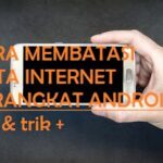 Mobile Data Boros? Begini Cara membatasi Penggunaannya 6 mbl