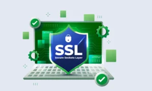 Jenis-Jenis SSL, Apa itu SSL?