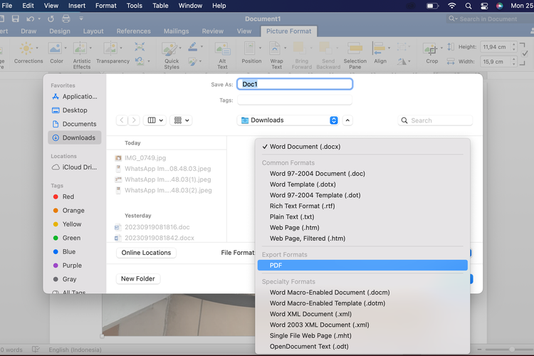 Cara Membuat PDF di iPhone, Gunakan Aplikasi Files untuk Ubah Dokumen Jadi PDF
