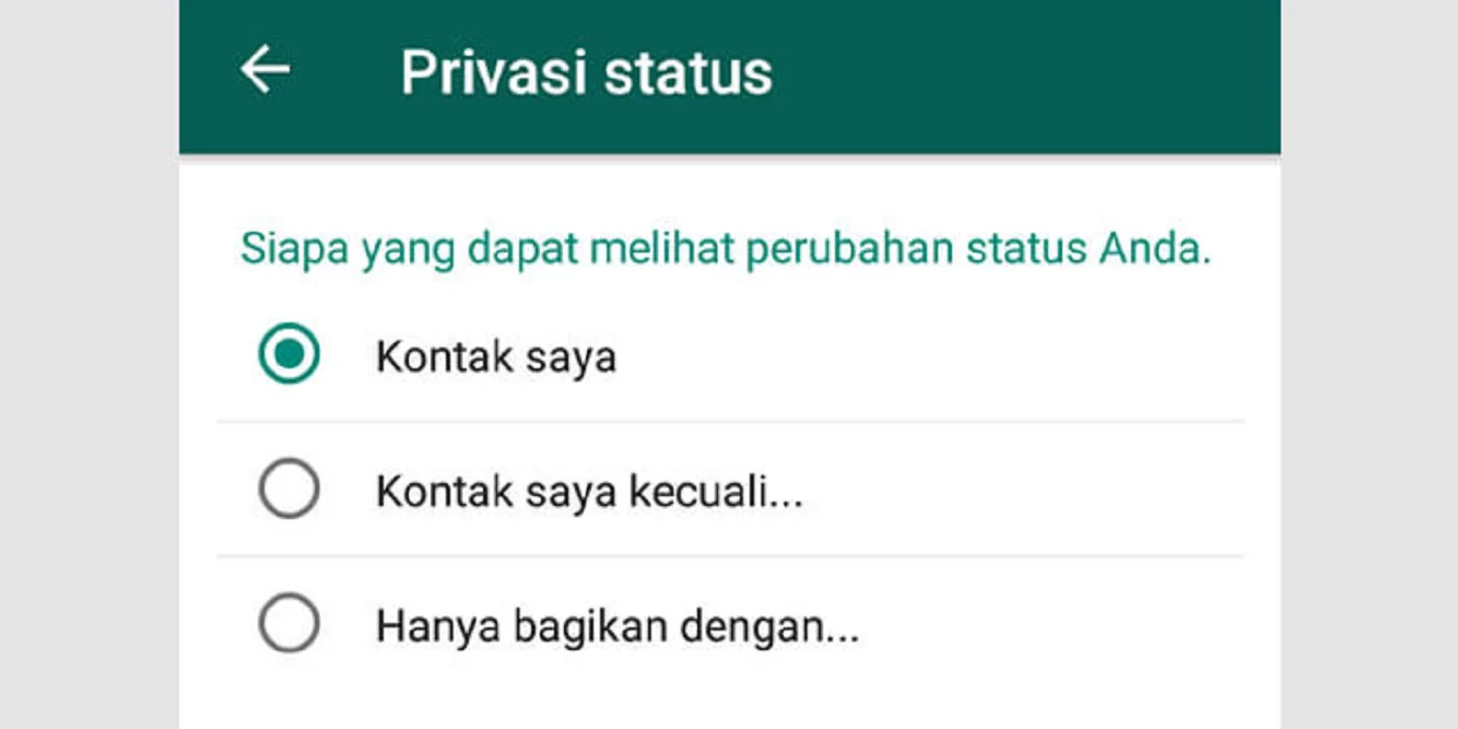 Cara Melihat Status WA yang di Privasi, Cara Menyembunyikan dan Membuka Privasi Status WhatsApp