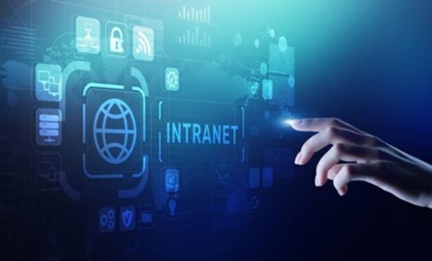 Gambar 1. Penggunaan intranet buat dunia kerja