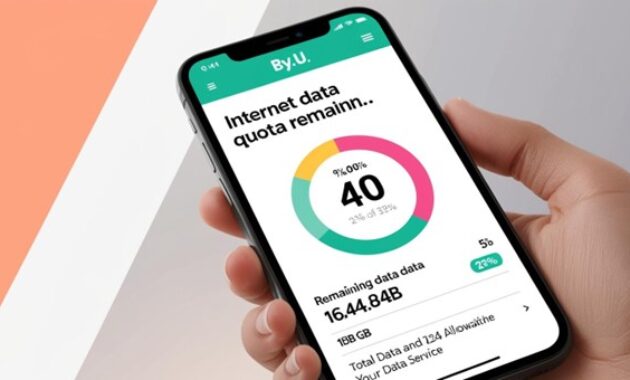 Gambar 2. Cek kuota By.U