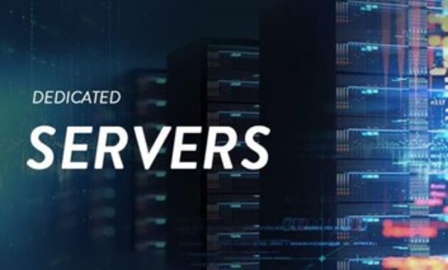 Gambar 2. Dedicated server adalah performa web hosting terbaik