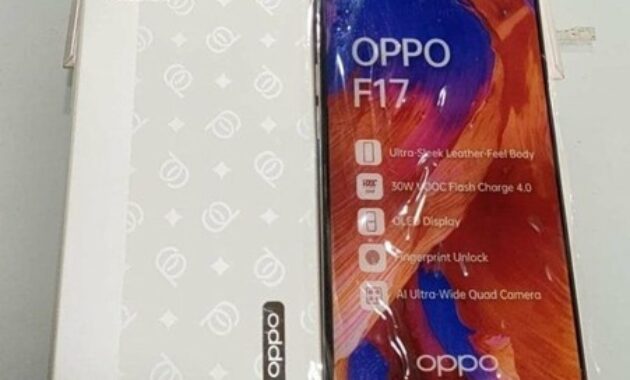 Gambar 3. Cek lewat menu pengaturan HP