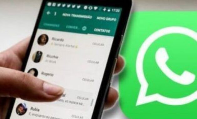 Gambar 1. 5 Cara melihat status WA yang diprivasi