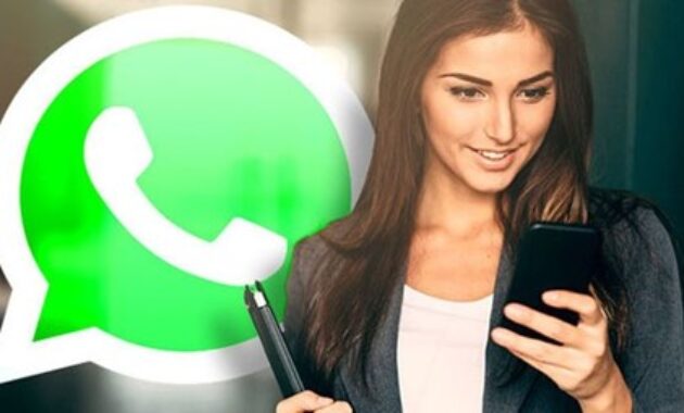 Gambar 2. Cek status yang sama untuk melihat status Whatsapp