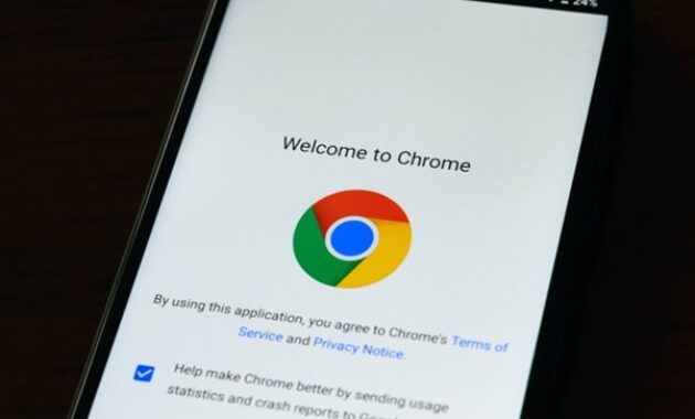 Gambar 3. Cara cek versi chrome di Android