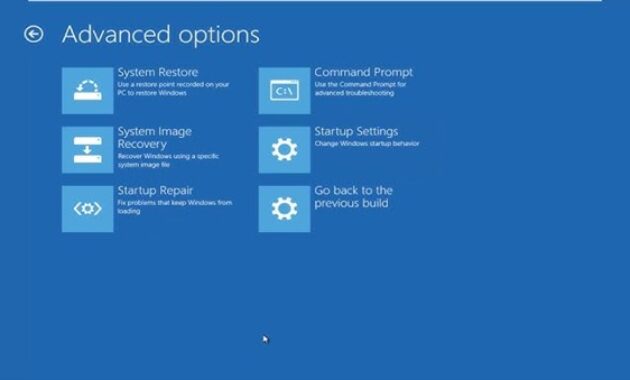 Gambar 3. Memanfaatkan UEFI Firmware Settings