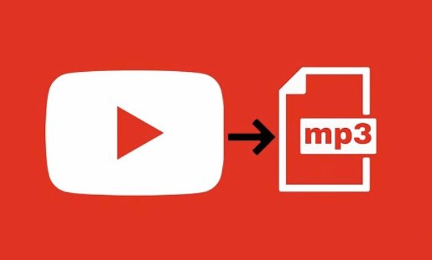 Gambar 2. Aplikasi download lagu youtube