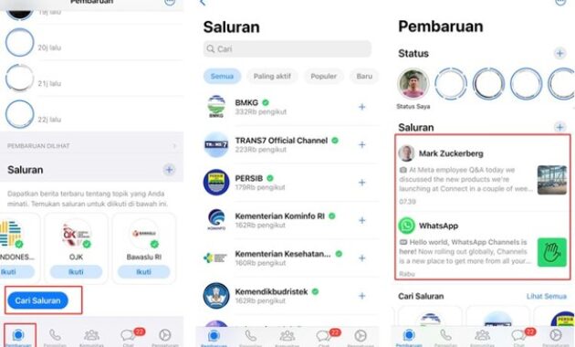 Gambar 2. Pentingnya mencoba saluran whatsapp