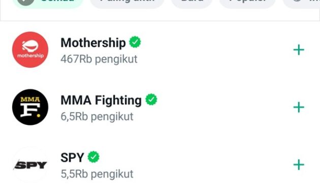 Gambar 3. Manfaat saluran whatsapp