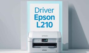 driver epson l210