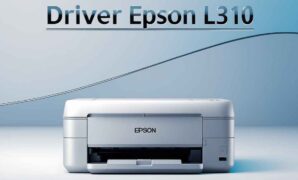 driver epson l310