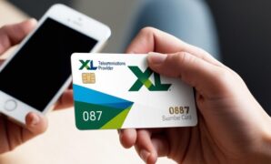 Gambar 1. 087 kartu apa sih?