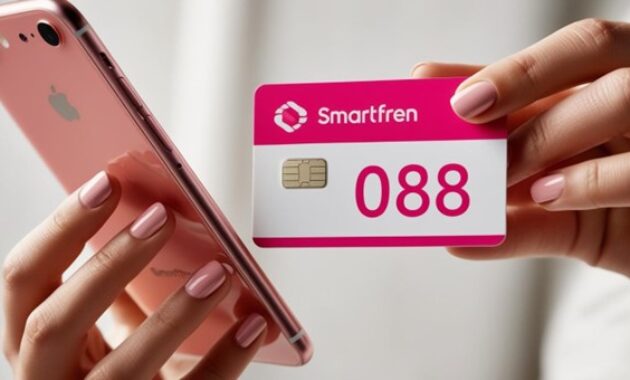 Gambar 1. 088 kartu apa?