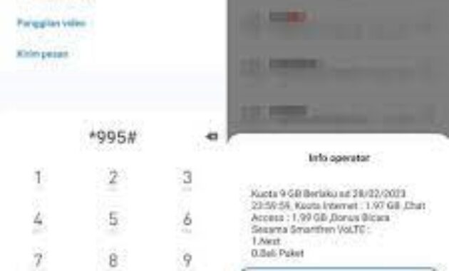 Gambar 2. Cek lewat kode dial