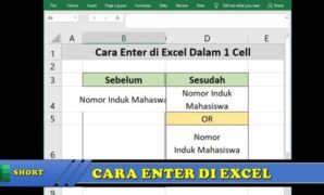 Gambar 1. Cara enter di excel