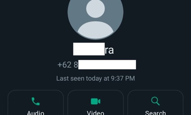 Gambar 1. Cara mengetahui WA diblokir tanpa chat