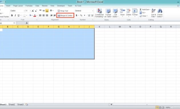 Gambar 1. Cara menghilangkan garis di excel