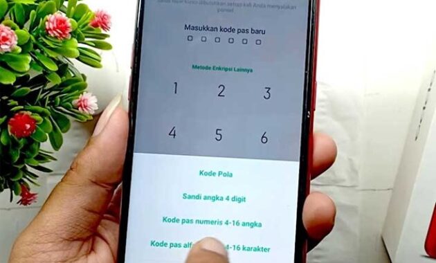 Gambar 3. Selalu ingat kata sandi HP Oppo