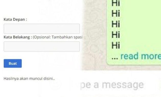 Gambar 1. Read more whatsapp