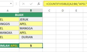 Gambar 2. Fungsi COUNTIF Excel