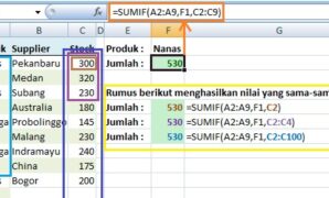 Gambar 1. Rumus SUMIF Excel