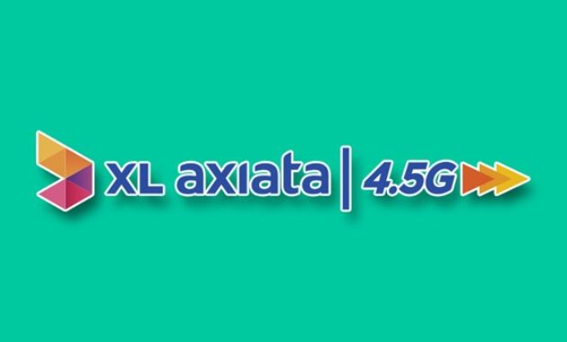 Gambar 1. APN XL Axiata