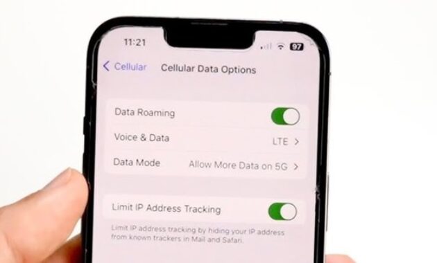 Gambar 3. Tip roaming hemat ala traveler pro