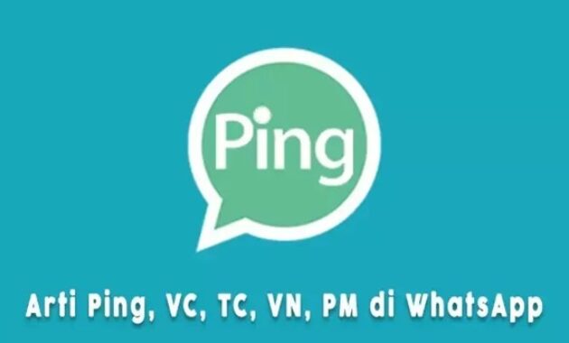 Gambar 1. Arti Ping VC TC PC PM P di Whatsapp