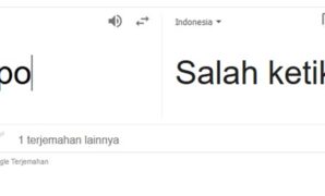 Gambar 1. Arti typo di WA