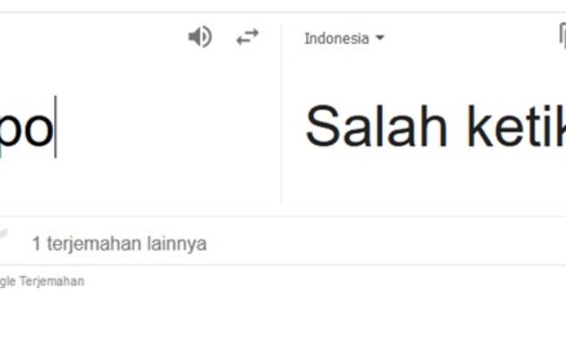 Gambar 1. Arti typo di WA