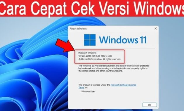 Gambar 2. Cara cek versi windows di laptop