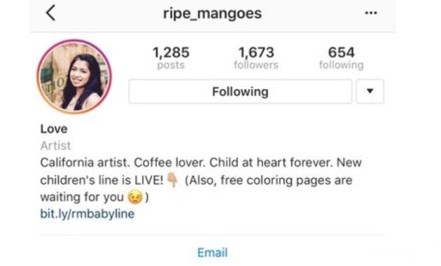 Gambar 3. Tips desain bio yang rapi dan profesional