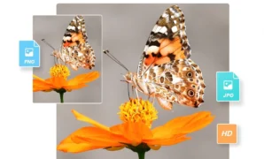 PNG ke JPG, Begini Loh Cara Ubah PNG ke JPG Tanpa Ribet, Cuma Modal Klik Aja!