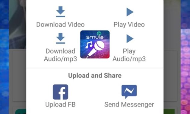 Gambar 1. Download smule MP3