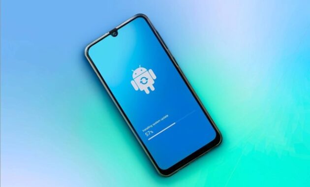 Gambar 2. Privacy upgrade android