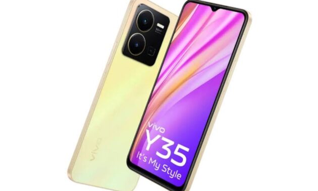 Gambar 1. Harga vivo y35