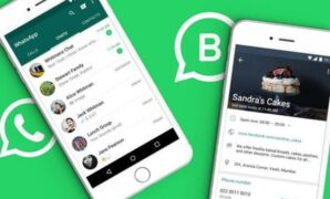 Gambar 1. Kenali aplikasi whatsapp business