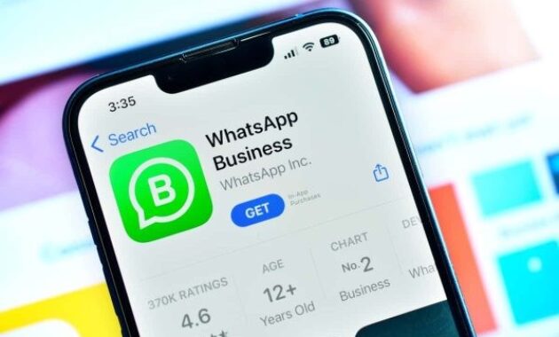 Gambar 2. Cara menggunakan whatsapp business