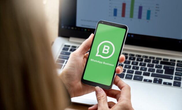 Gambar 3. Privacy dan keamanan whatsapp business