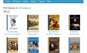 Gambar 1. Pentingnya cari situs download novel pdf gratis