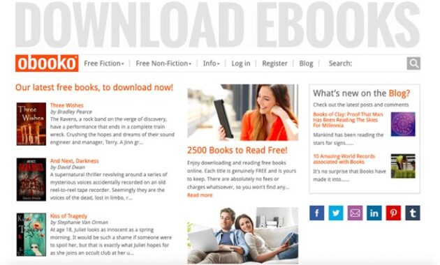 Gambar 2. Situs download novel PDF lewat Obooko