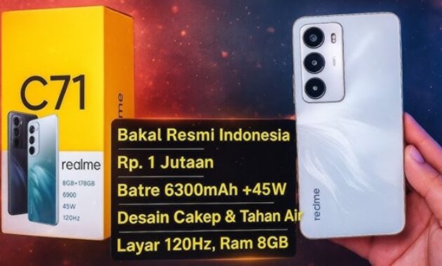 Gambar 2. Peluncuran dan insight review