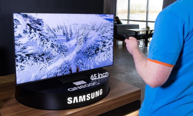 Gambar 3. Kontrol suara plus asisten virtual