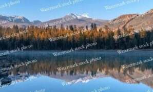 Gambar 1. Watermark adalah tanda yang menempel di karya digital