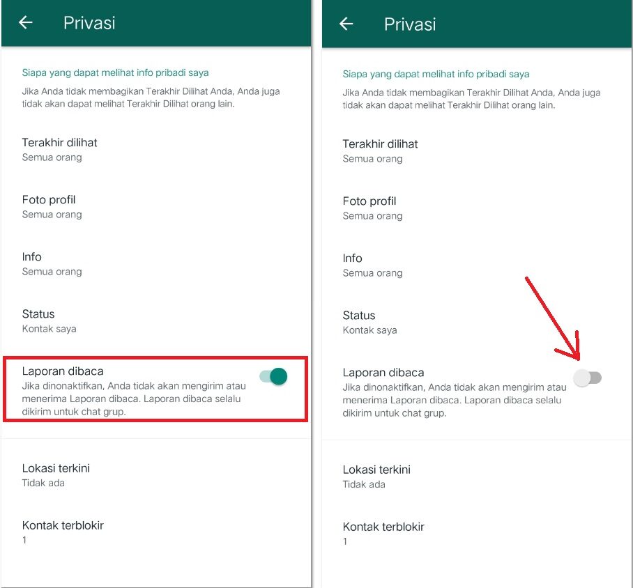 Cara Agar WA Centang 1,  Jangan Lupa Matikan Laporan Dibaca!