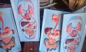 Gambar 1. Alat peraga IPA untuk SD