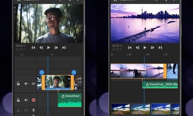 Gambar 3. Export kualitas 4K dan mode editing profesional